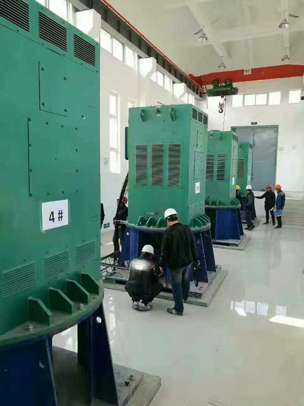 YKS5001-4某污水处理厂使用我厂的立式高压电机安装现场