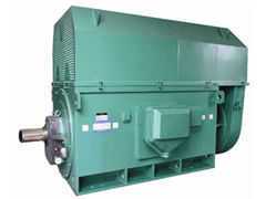 YKS5001-4Y系列6KV高压电机